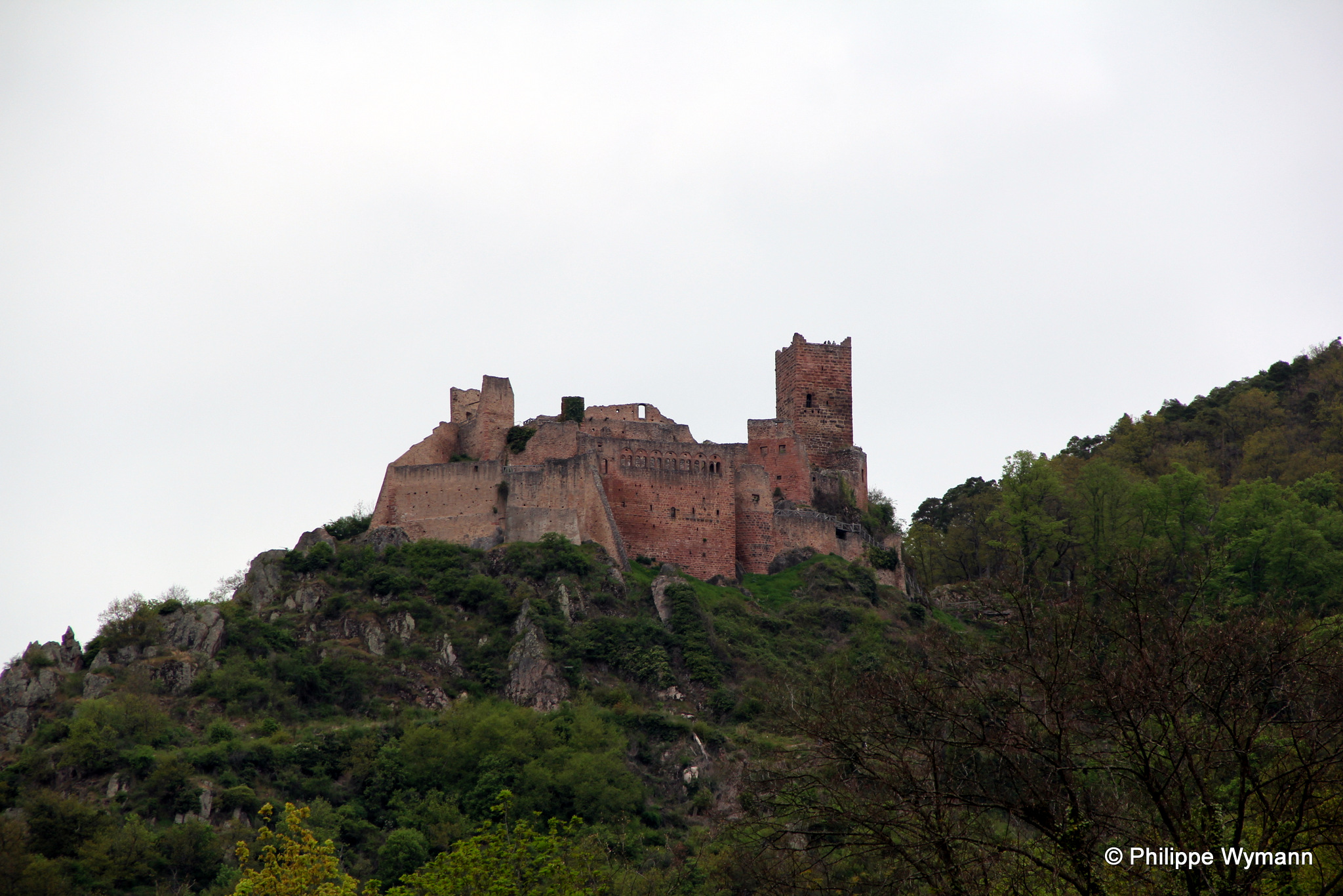 Ribeauvillé